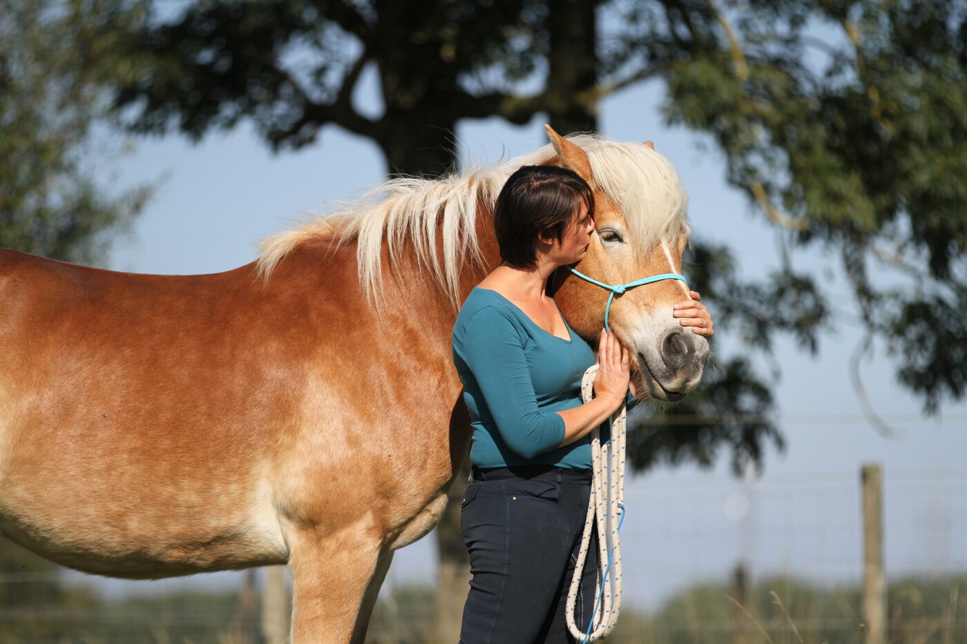 Lieselot Czvek, holistisch dierenarts, met een haflinger in de wei