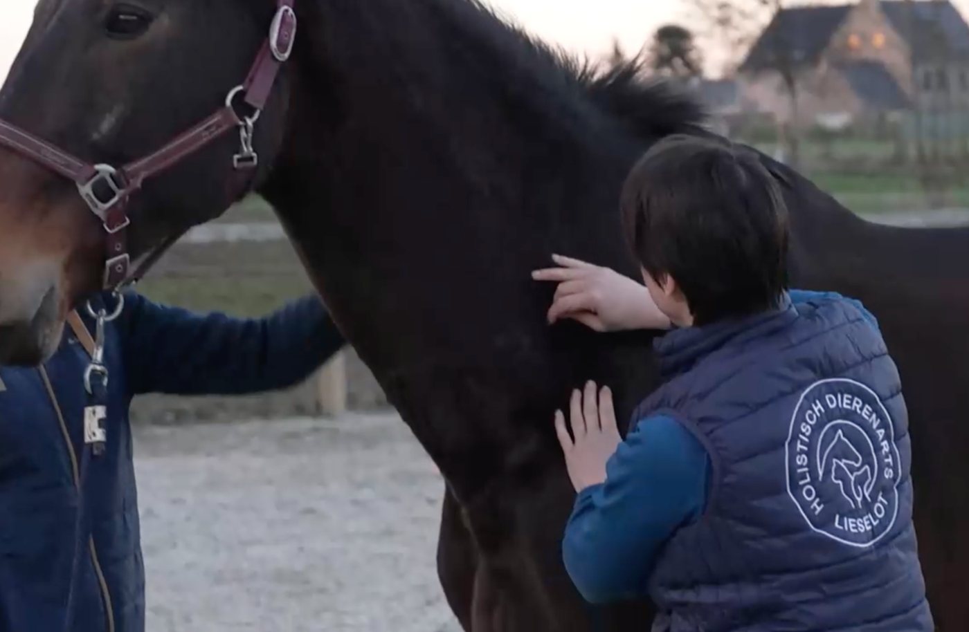 Een hand rust op de schouder van een paard in het avondlicht